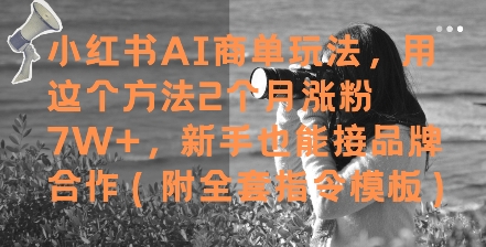 小红书AI商单玩法，用这个方法2个月涨粉7W+，新手也能接品牌合作(附全套指令模板)-暮鸦资源网