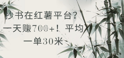 抄书在小红薯平台？平均一单30米，一天收益几张！-暮鸦资源网