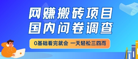 网创搬砖项目，国内问卷调查，小白轻松上手，一天三四张的也不难，干就完了【揭秘】-暮鸦资源网