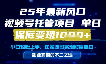 25年最新风口，视频号托管项目，单日保底变现1k+，手把手教学【揭秘】-暮鸦资源网