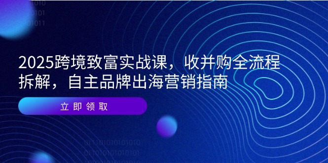 2025跨境致富实战课，收并购全流程拆解，自主品牌出海营销指南-暮鸦资源网