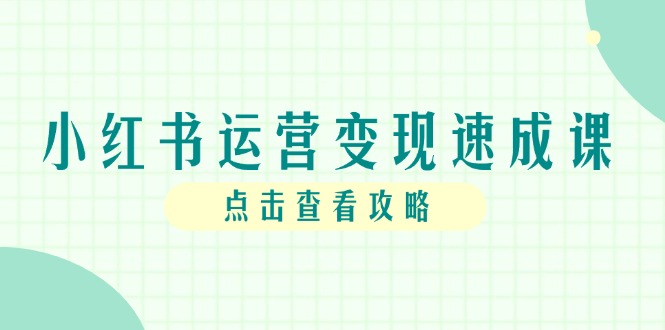小红书运营变现速成课，账号搭建到暴力起号，个人IP全流程指南-暮鸦资源网