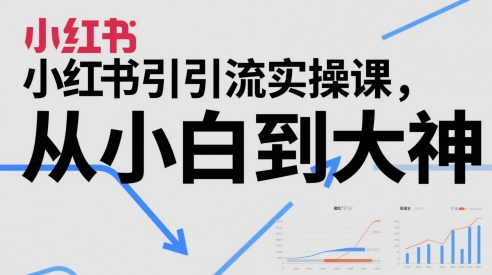 小红书引流实操课，从小白到大神-暮鸦资源网
