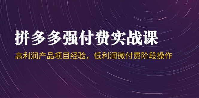 拼多多强付费实战课-44期，高利润产品项目经验，低利润微付费阶段操作-暮鸦资源网