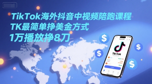 TikTok海外抖音中视频陪跑课程，TK最简单挣美金方式，1万播放挣8刀-暮鸦资源网