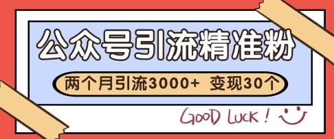 公众号精准粉引流玩法，2个月3000+精准粉，变现30个W【揭秘】-暮鸦资源网