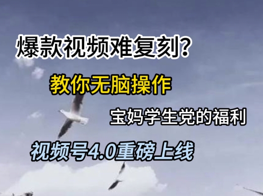 视频号4.0重磅上线，爆款视频难复刻？教你无脑操作宝妈学生党的福利【揭秘】-暮鸦资源网
