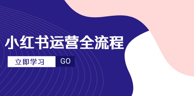小红书运营全流程，爆款选题文案，视频制作技巧，进阶达人宝典-暮鸦资源网