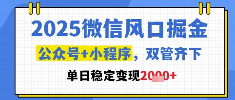 2025微信风口掘金，公众号+小程序双管齐下，单日稳定变现1k+【揭秘】-暮鸦资源网