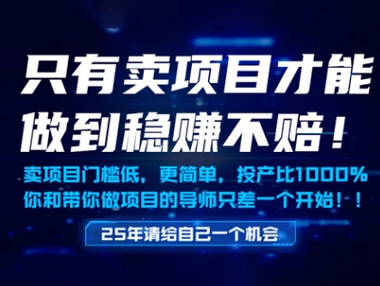 只有卖项目才能做到稳挣不赔，门槛低，更简单，你也可以年入百个W【揭秘】-暮鸦资源网