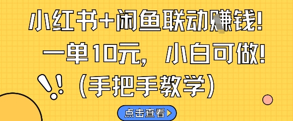 小红书+闲鱼联动挣钱，一单10元，小白可做-暮鸦资源网