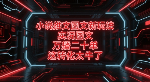 小说推文图文新玩法，实况图文，万播二十单，这转化太牛了！-暮鸦资源网