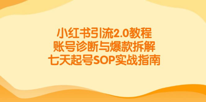 小红书引流2.0教程，账号诊断与爆款拆解，七天起号SOP实战指南-暮鸦资源网