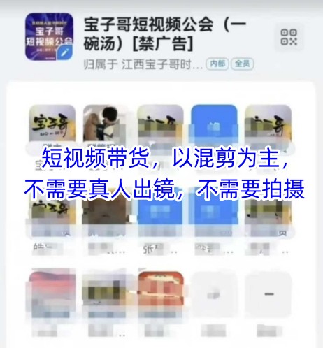 宝子哥头部团队短视频带货，以混剪为主，不需要真人出镜，不需要拍摄【更新】-暮鸦资源网