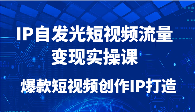 IP自发光短视频流量变现实操课，爆款短视频创作IP打造-暮鸦资源网