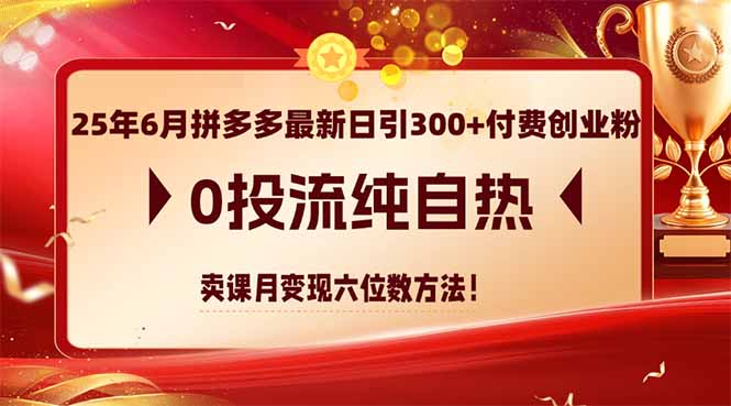 25年6月拼多多最新日引300+付费创业粉，0投流纯自热 卖课月变现六位数方法-暮鸦资源网